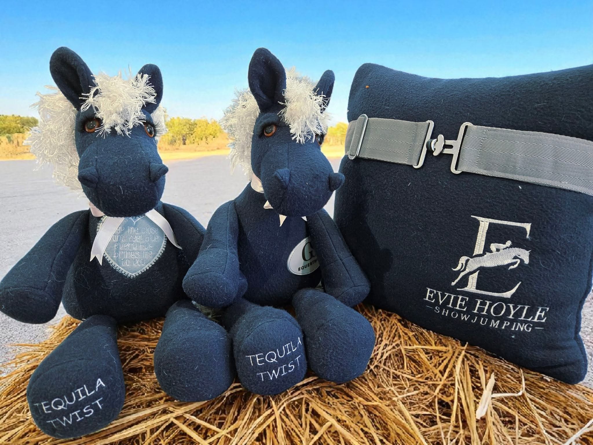 Memory bear and Pillow set
