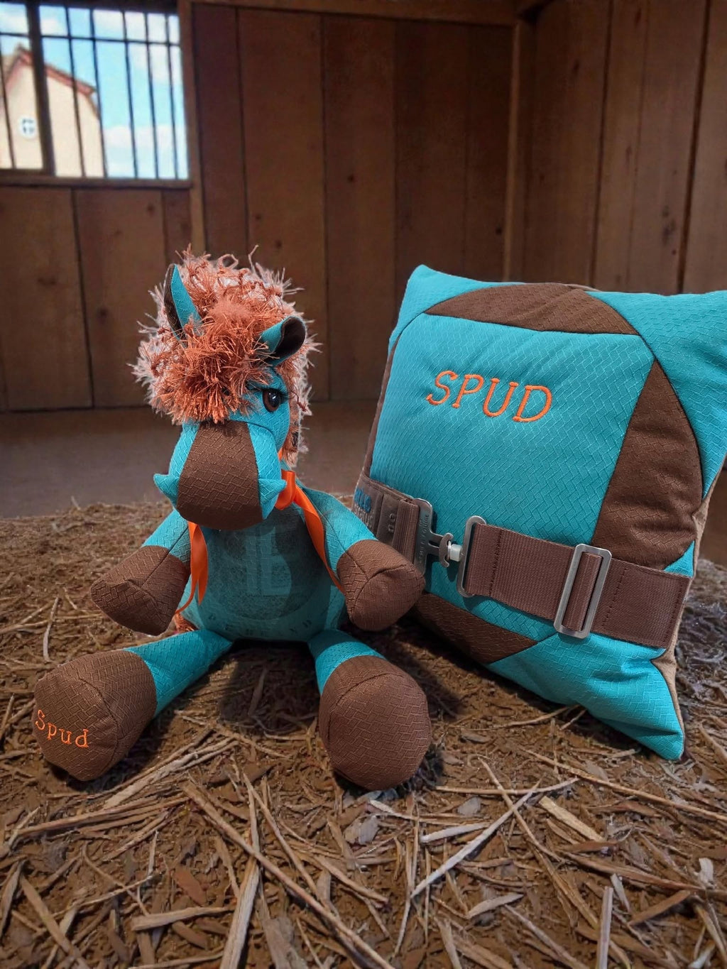 Memory bear and Pillow set